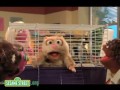 Sesame Street Elmo S World 1063