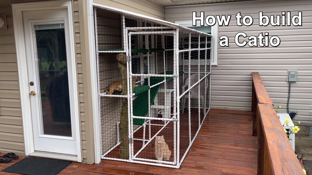 How to build a Catio (outside cat enclosure) DIY