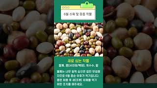 팜픽 3편! 농사꾼이라면 꼭 알아야 한다! 6월에 꼭 해야하는 주요 농작업!#농업 #농사 #돈 #돈버는법 #…