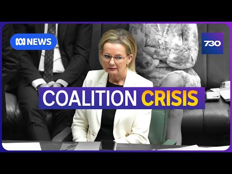 Will the Liberal Party follow the Nationals and dump net zero? | 7.30