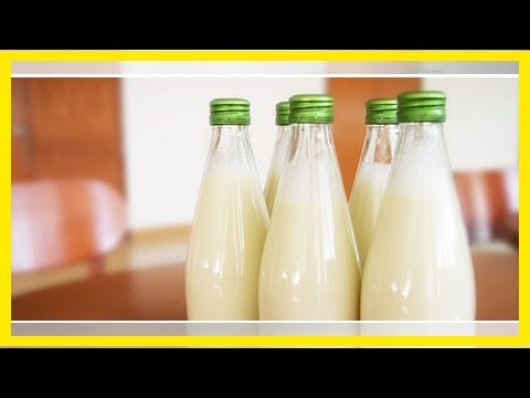 Molke: Herstellung, Wirkung und Inhaltsstoffe des „Käsewassers“