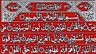 Surah Yaseen | Yasin Dua | Episode 1641 | Daily Quran Tilawat Surah Yasin Surah Rahman | सुरह यासीन