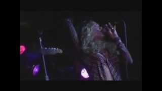 Dana Fuchs - "Baby Loves the Life" LIVE