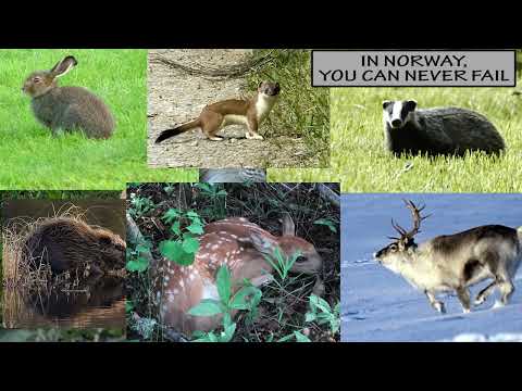 Norway 2, National Anthem Parody