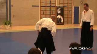 preview picture of video '2011 Itokan Aikido Seminar 2'