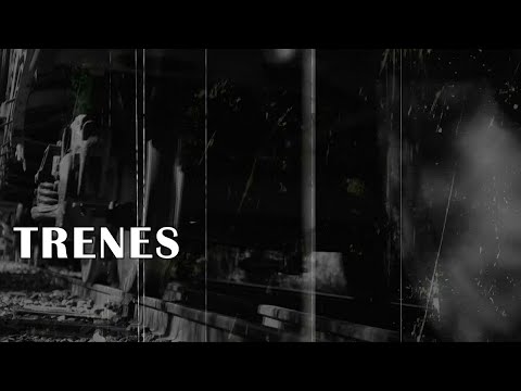 Virginia Ferreyra || "TRENES" (Lyric Video Oficial)