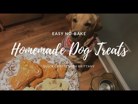 download lagu mp3 mp4 No Bake Dog Biscuits, download lagu No Bake Dog Biscuits gratis, unduh video klip No Bake Dog Biscuits