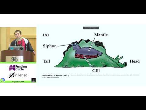 Declarative Deep Learning In Clojure -