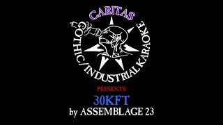 Assemblage 23 - 30kft - Karaoke Instrumental w. Lyrics - Caritas Industrial Karaoke