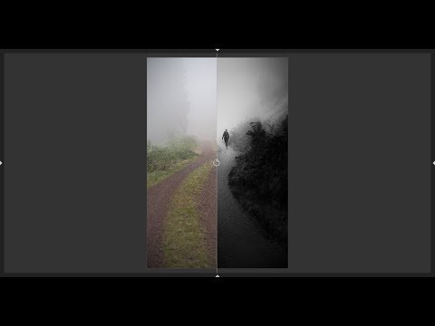 Editing moments with darktable 2.6.2 Episode 19: Into the mist