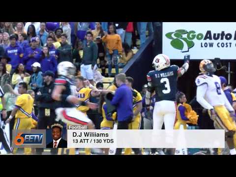 D.J Williams Highlights vs LSU