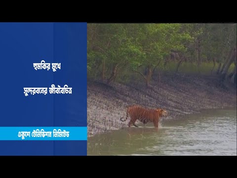 হুমকির মুখে সুন্দরবনের জীববৈচিত্র