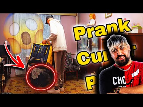 😂IMOGEN REACTS TO THE PRANK - Glovo Courier Prank?!😂