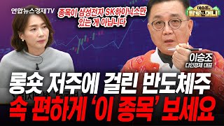 삼성전자 하이닉스 하느니, 속 편하게 '이 종목'을 보겠습니다 (이승조) | 팔로더머니 251119