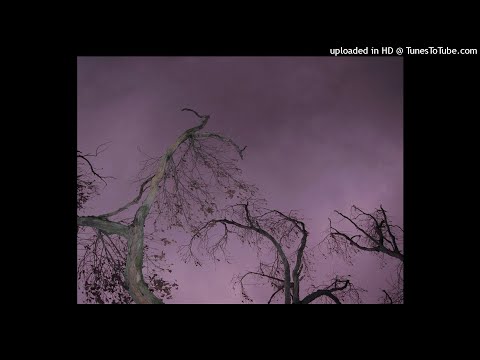 [FREE] JONNY5 X RARESY X FLEX53 TYPE BEAT - "BLEAK" [prod. 629]