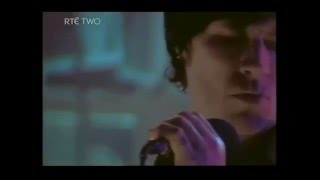 Mark Lanegan - I'll Take Care Of You (RTE Other Voices)
