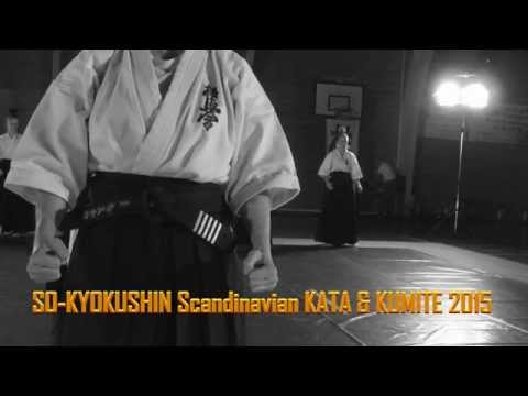 SO-KYOKUSHIN Scandinavian KATA & KUMITE 2015