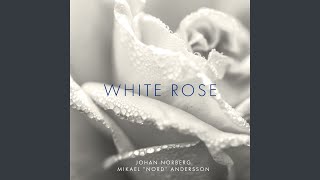 White Rose