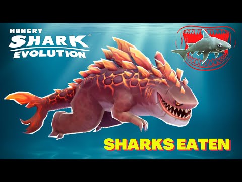Magmajira Live Event: Eat as many Sharks as you can (Part 2) + Technique | @dragonheartgaming123