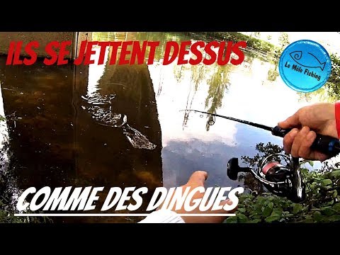 download lagu mp3 mp4 Peche A La Cuillere, download lagu Peche A La Cuillere gratis, unduh video klip Peche A La Cuillere
