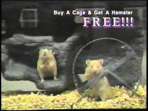 Mvp Pets Commercial 2