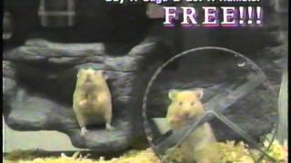 MVP Pets Commercial 2