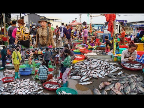 Early Morning Fish Market Scene @Prek Phnov - Plenty Alive Fish, Dry Fish, Seafood & More Food