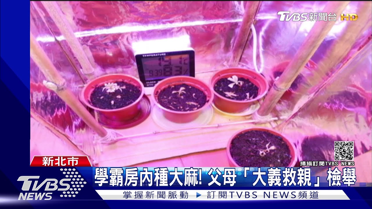 學霸房內種大麻! 父母「大義救親」檢舉