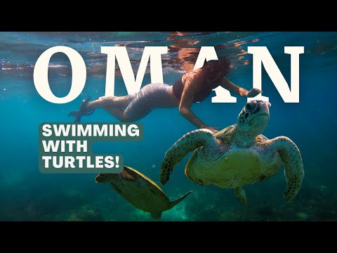 DAYMANIYAT ISLANDS | SNORKELLING WITH TURTLES IN THE ARABIAN SEA!! | OMAN SERIES PT 5