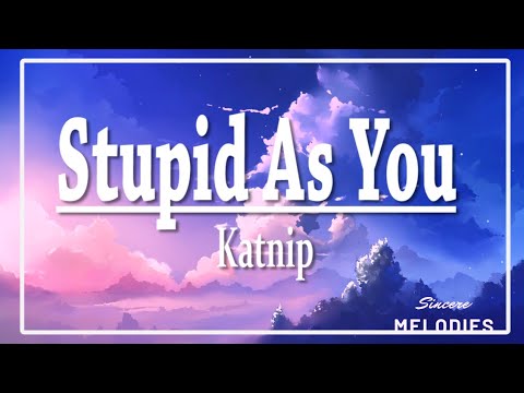 Katnip - Stupid as You | Lyrics 🎵