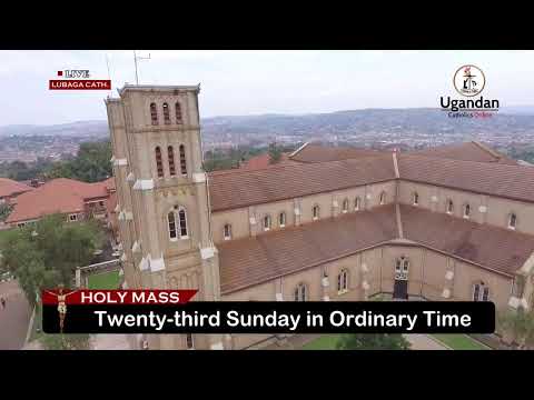 Twenty-third Sunday in Ordinary Time 7th September 2025