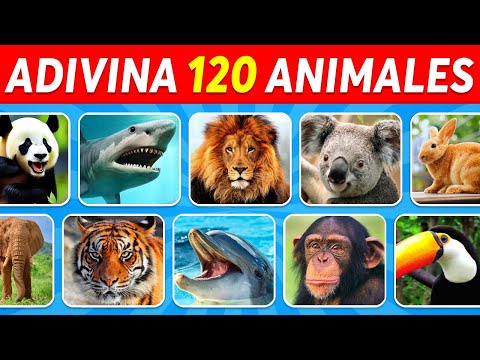 Guess 120 ANIMALS in 3 Seconds | Easy, Medium, Hard, Impossible