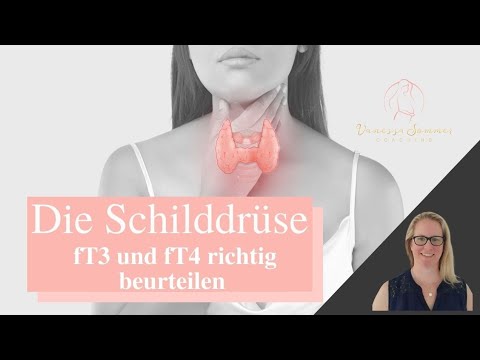 Die Schilddrüse (Folge 2) - fT3 und fT4 richtig beurteilen