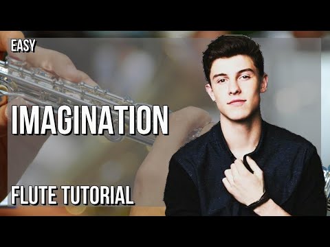 How to play Imagination by Shawn Mendes on Flute (Tutorial)
