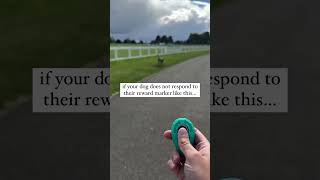 Let’s change the way you train ⬇️ Clicker training is a fantastic way to mark and reinforce