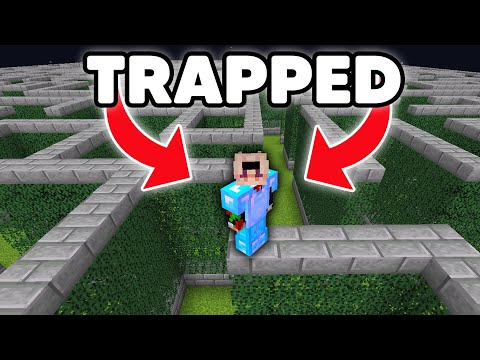 Il mio amico mi ha intrappolato nel LABIRINTO, quindi ho ottenuto VENDETTA