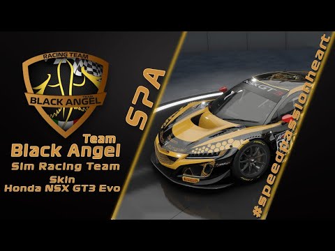 Black Angel Honda NSX GT3 Evo