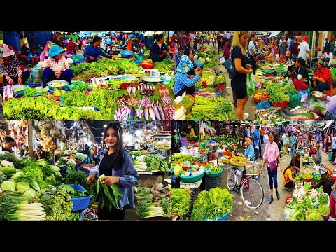 Batdombong street food Maket tour, Battambang Thmey Market and Battambang Central Market