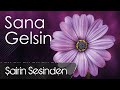 SANA GELSİN (Şairin Sesinden Şiir Dinletisi, Haldun Öztürk) #3