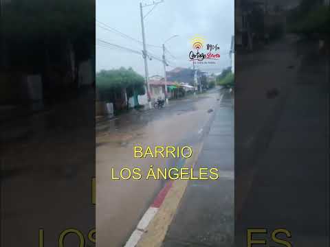 Sector Los Ángeles, Cartago