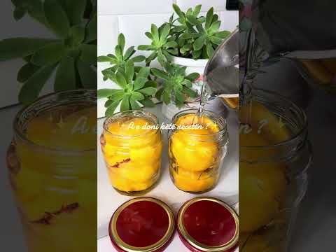 Video thumbnail: Komposto Pjeshke - Receta për Dimër