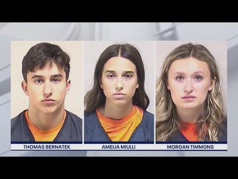 Suburban teens charged with stealing $50K worth of music festival wristbands