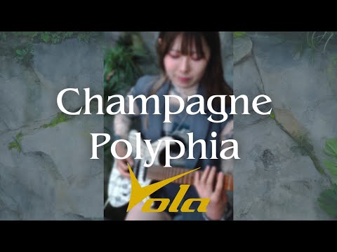 [ COVER ] Champagne / Polyphia (Guitar Cover by Mayto.)