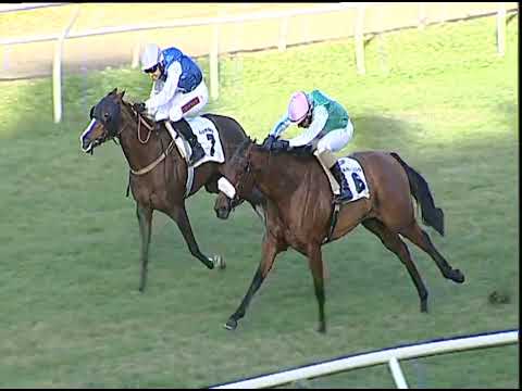 Napoli Galoppo 04/12/2022 - 3ª corsa