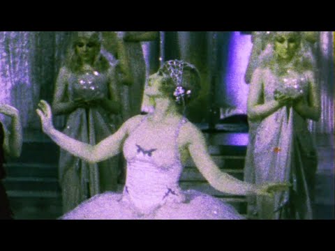 Gloria de Oliveira - "Black  Violets"