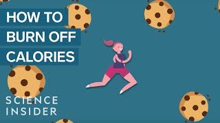 How Long It Takes To Burn Off Calories You Eat