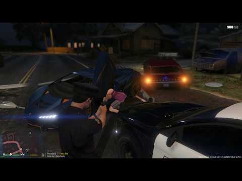 LSPDFR Pursuit and Take Down