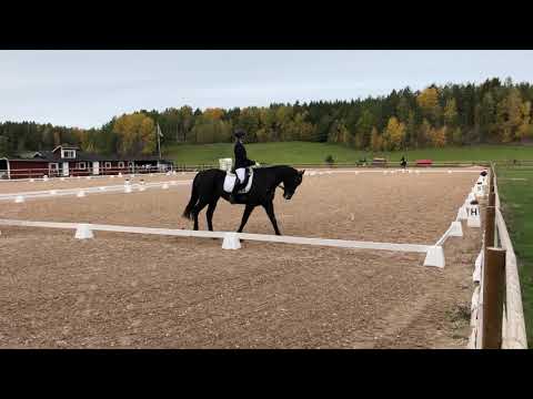 181006 Reg MSV C:1 2018