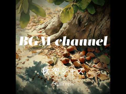BGM channel - Squirrels (Official Music Video)