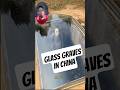 Glass Graves 😦#youtubeshorts #funfacts #interestingfacts #ytshorts #china #chineseculture
